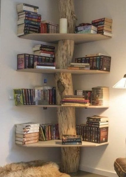 Burl Ahşap Kitaplık